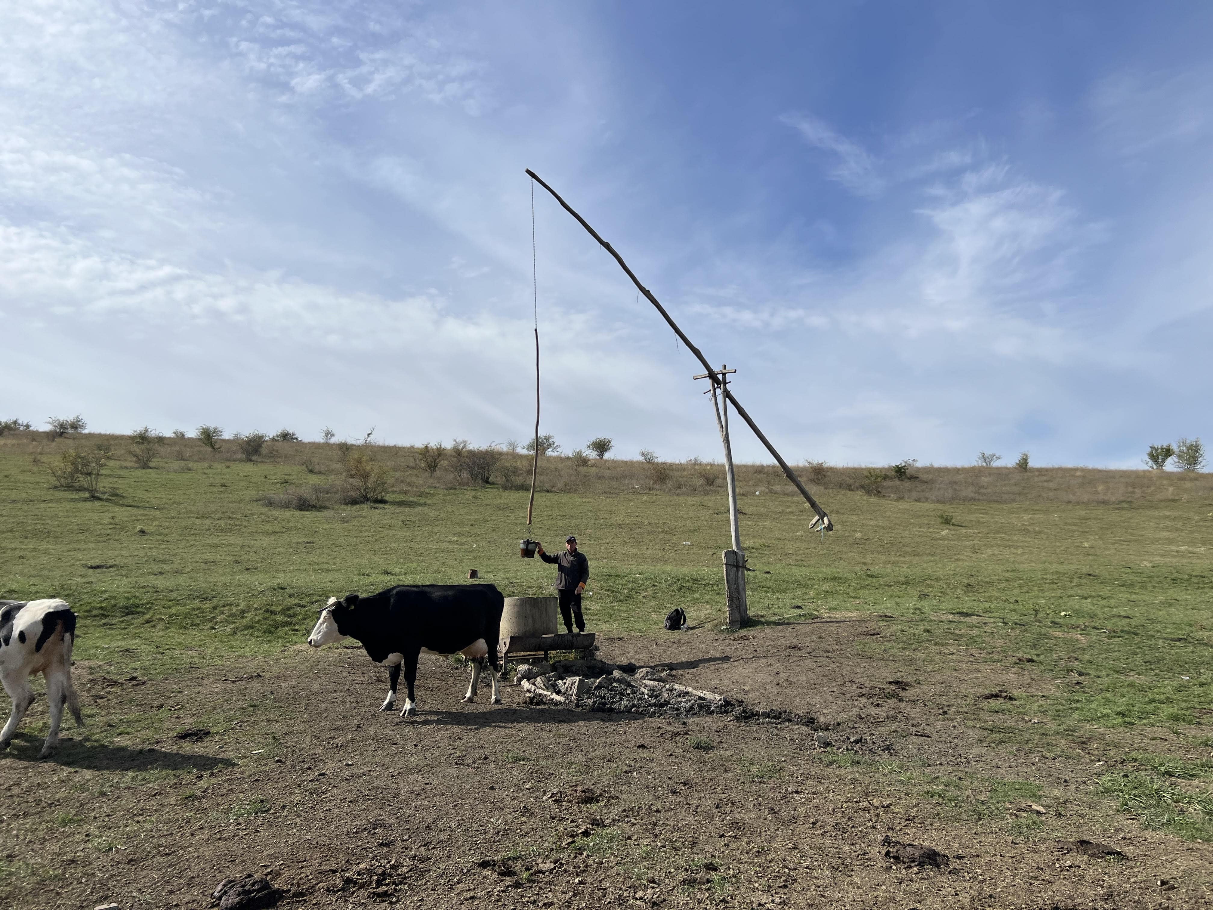 As the Ciuluc river in Bursuceni has dried up, farmers are using the shallow wells for their animals.